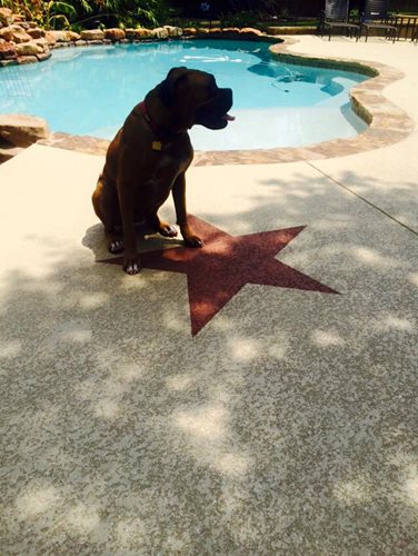 Cypress Tx Pool
Pool Deck Resurfacing
SUNDEK Houston
